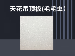 天花吊頂板